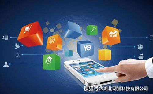 湖北網(wǎng)狐科技 電商App開(kāi)發(fā)如雨后春筍，細(xì)分行業(yè)如何搶占商機(jī)